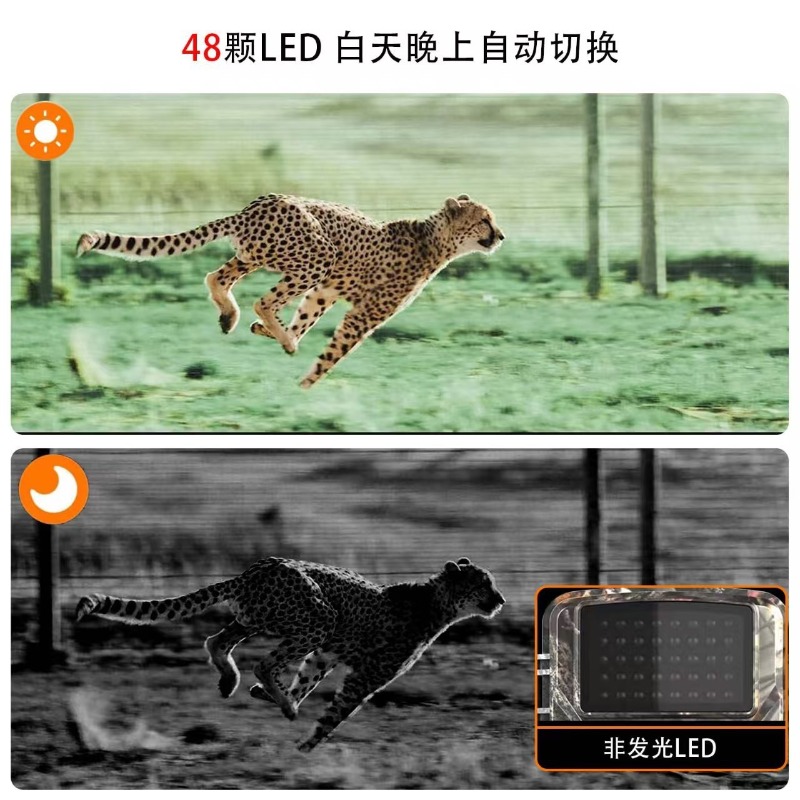 HOT SALE DL001 Hunting Camera  - Outdoor Hunting Images review and price