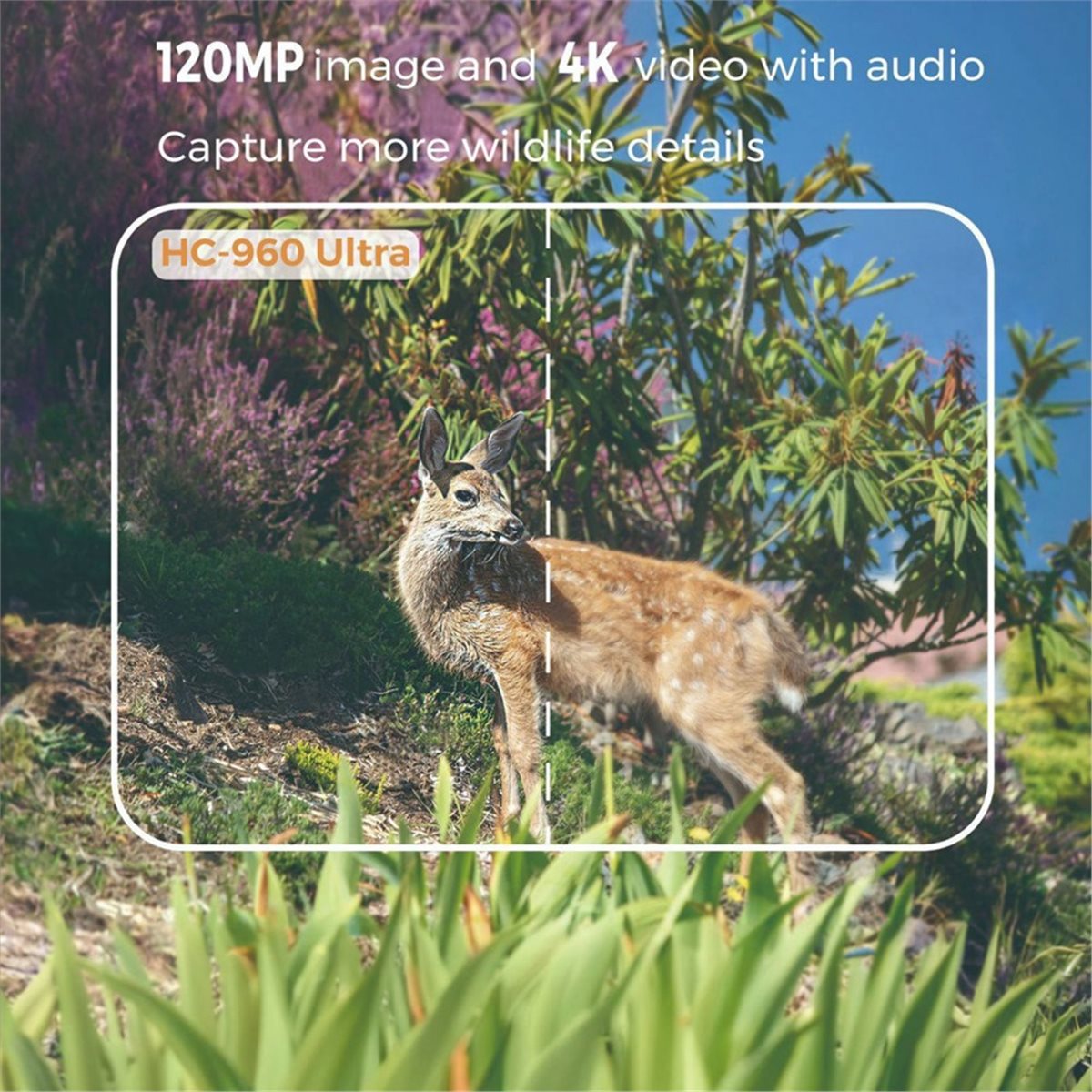 update. Outdoor 4G 120MP 4K Li - Hunting Outdoor Shows review and price