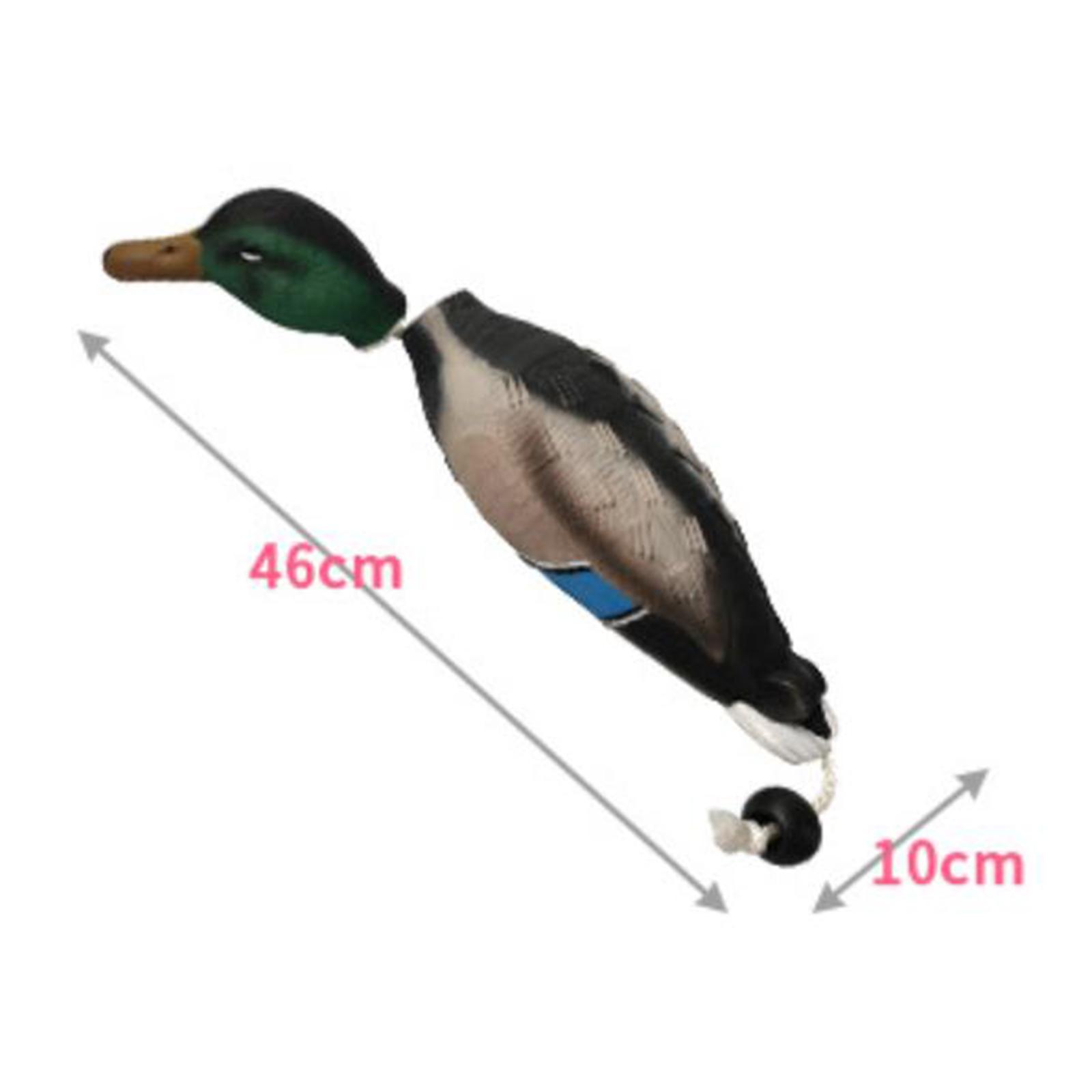 Mallard Duck Decoy Simulation  - Decoy Duck Plastic review and price