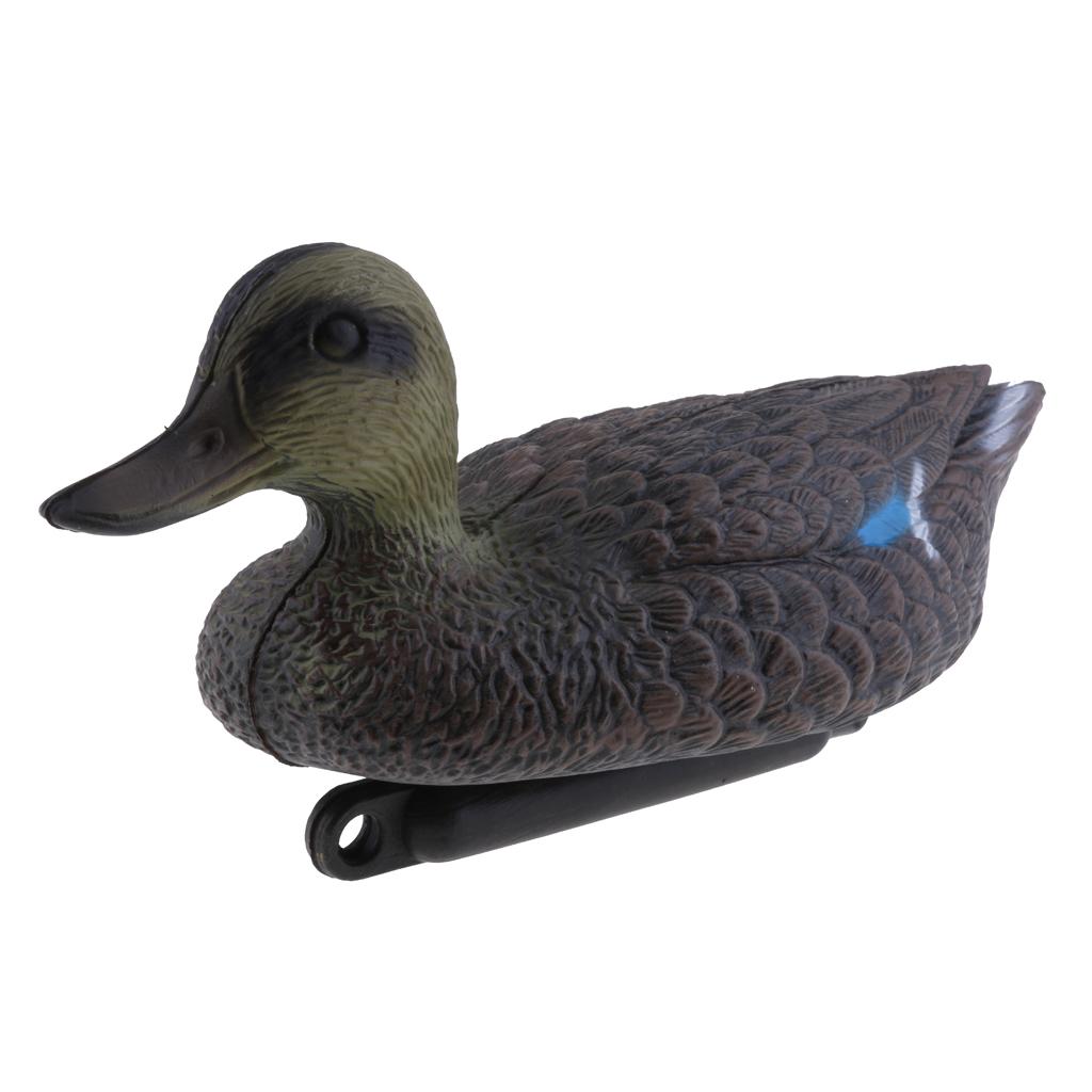 Lifesize Plastic Mandarin Duck - Decoy Duck Plastic review and price
