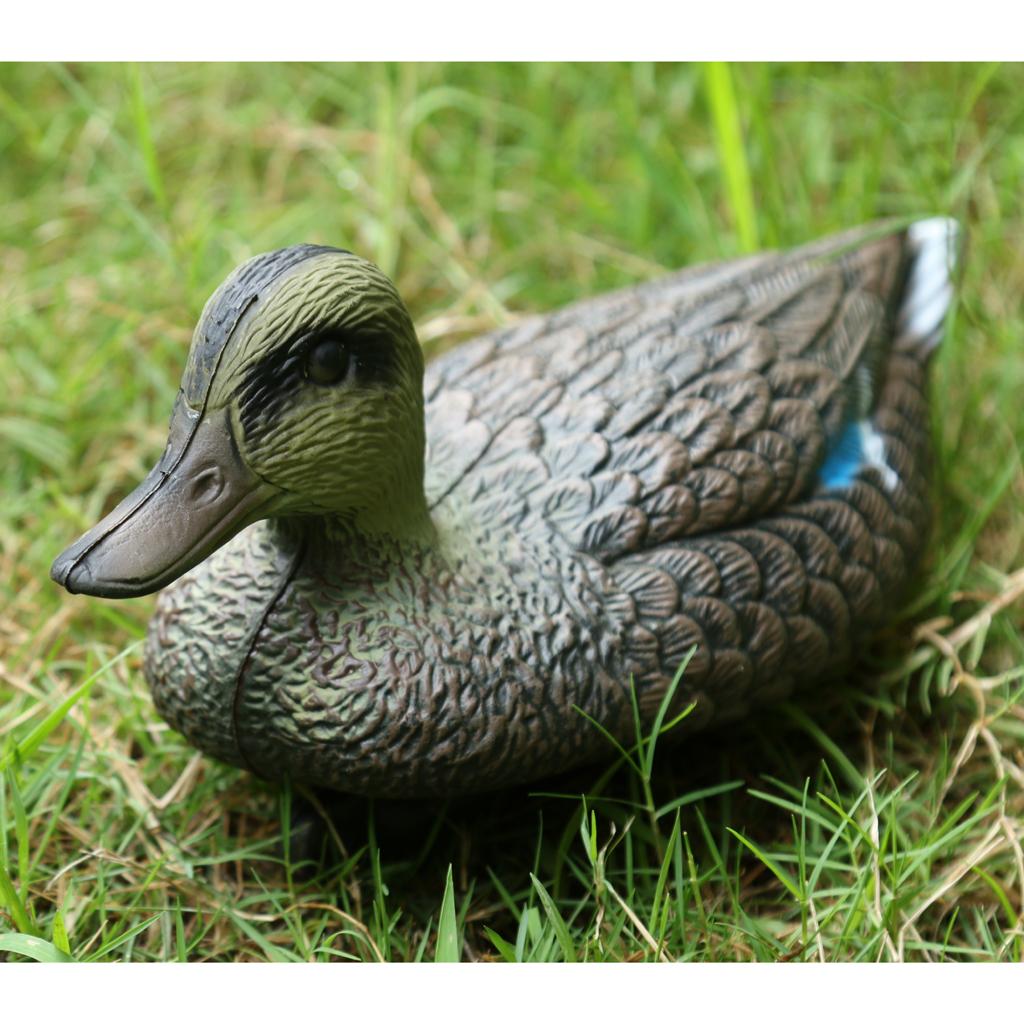 Lifesize Plastic Mandarin Duck - Decoy Duck Plastic review and price