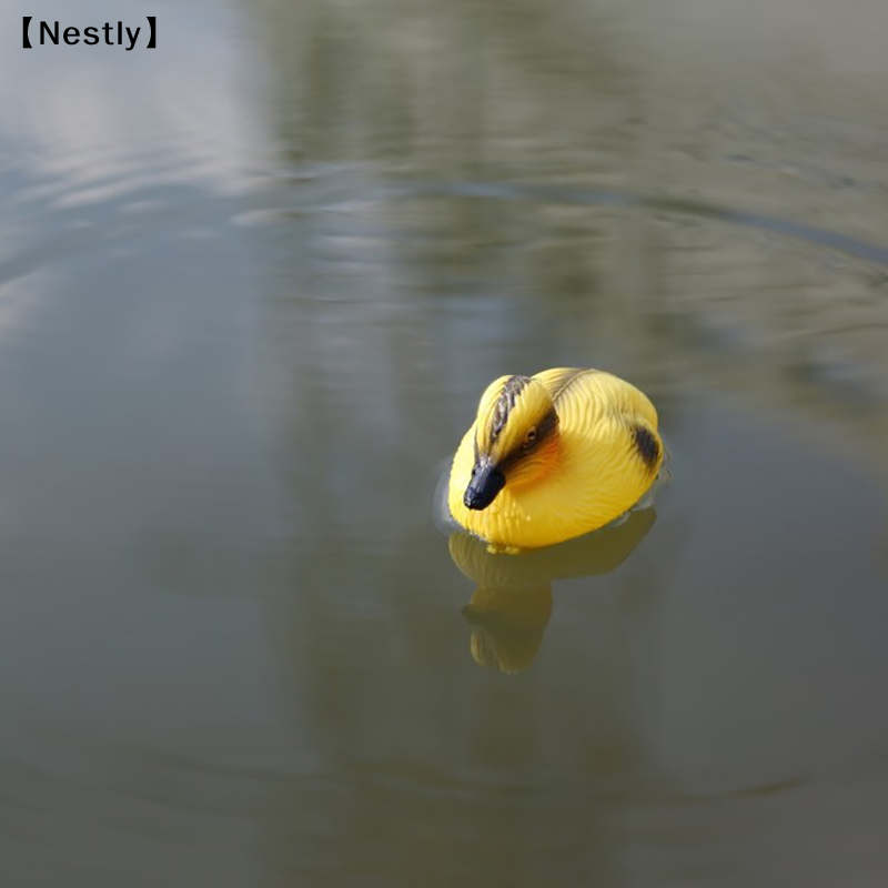 Floating Duck Ducklings Pond S - Decoy Duck Plastic review and price