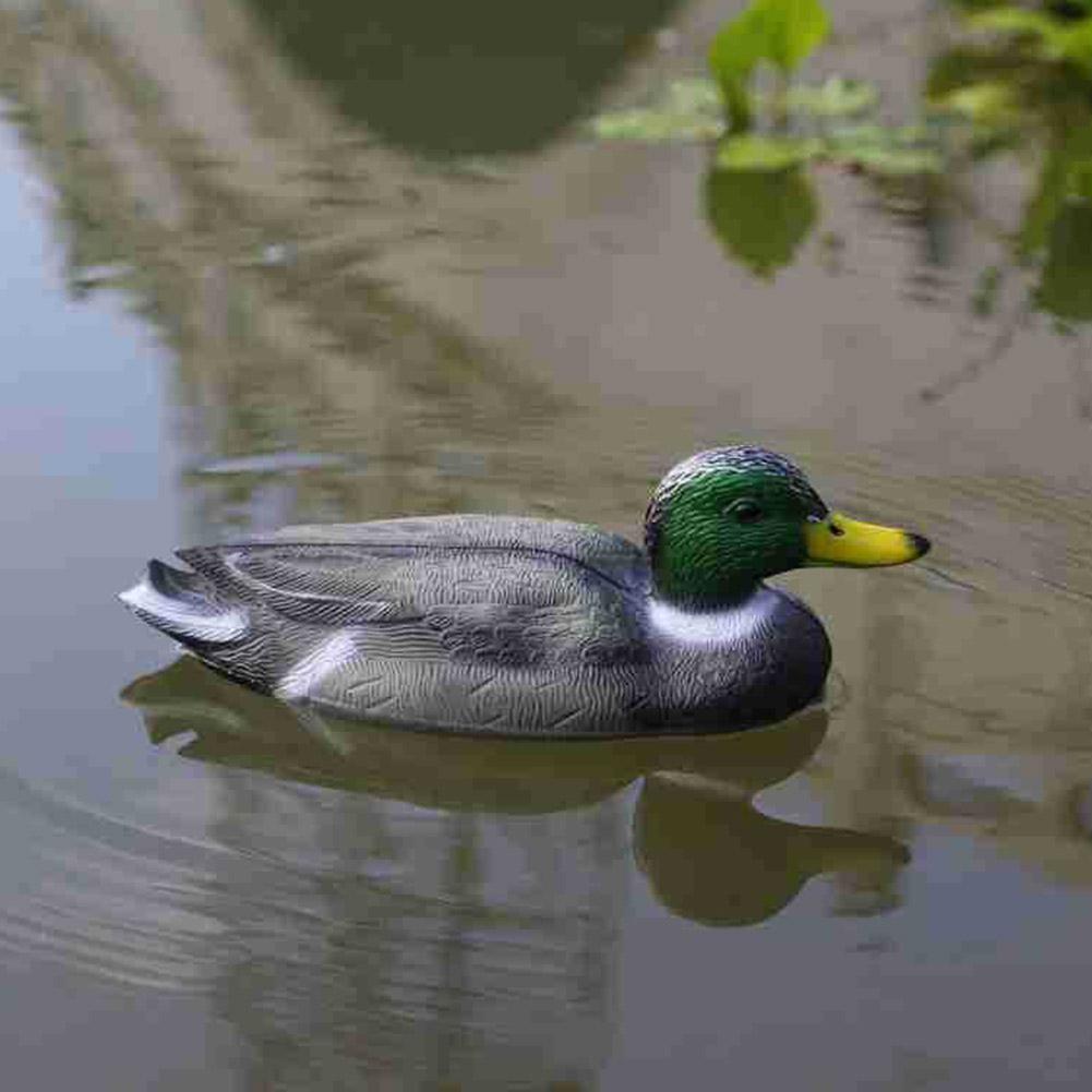 Outdoor Realistic Plastic Duck - Decoy Duck Plastic review and price