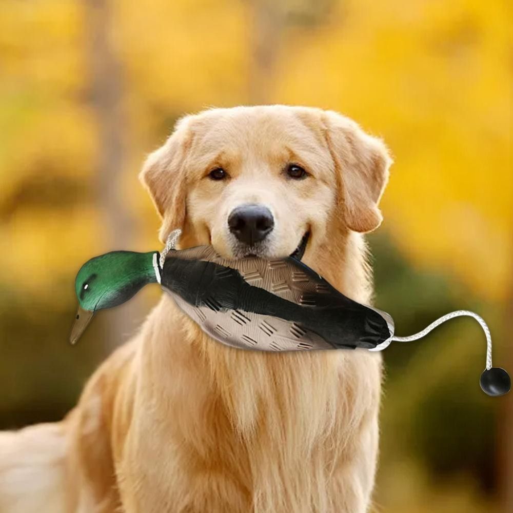 Mallard Duck Decoy Dog Trainin - Decoy Duck Plastic review and price