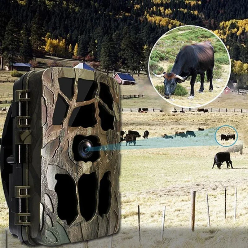 H982 IP66 Waterproof 4K Outdoo - Outdoor Hunting Images review and price