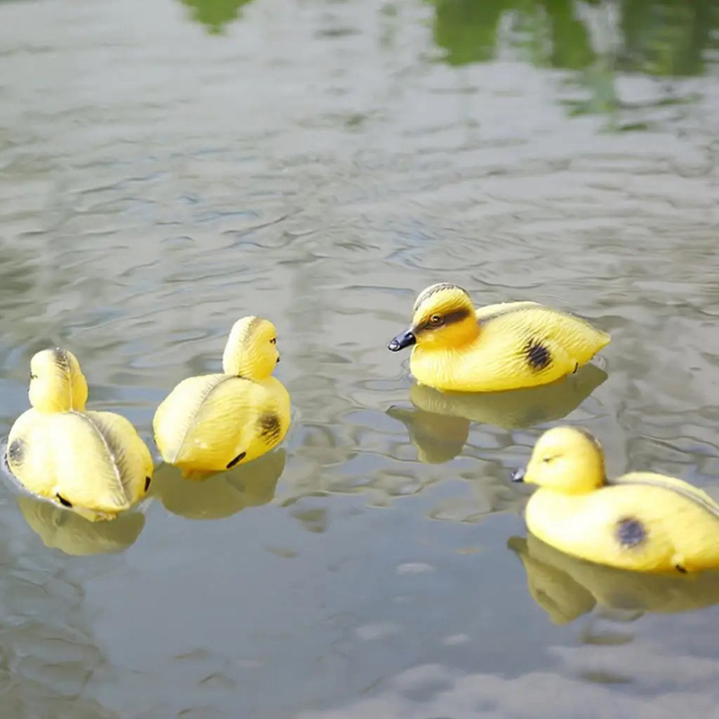 Floating Duck Ducklings Pond S - Decoy Duck Plastic review and price